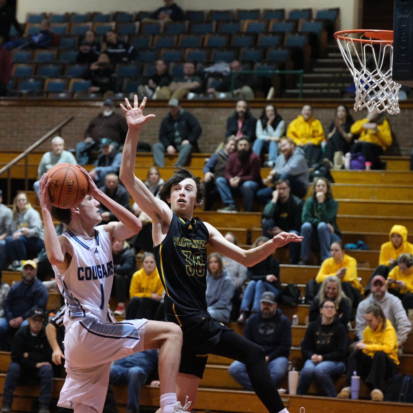 Photos MMU v BFA (Barre Auditorium) Feb 16, 2026